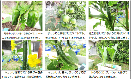 スクリーンショット 2026-07-02 142347.png