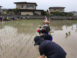 20190605taue1.JPG