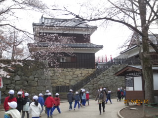 2019ohanami1.JPG