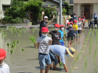 20200609taue2.JPG