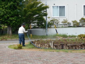 2023080317.JPG