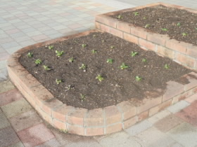 2023111605.JPG