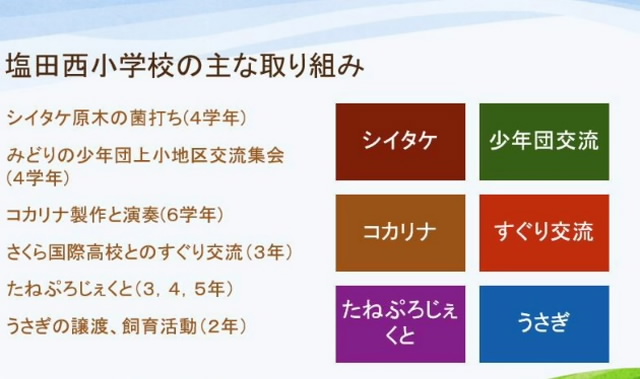 主な取り組み.jpg