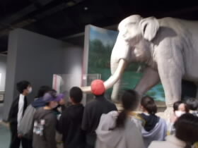 DSCN7790.JPG