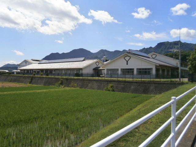 P7020273.JPG