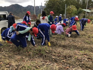 20191108daizu2.JPG