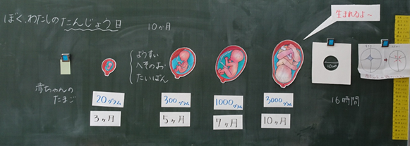 0260202-2.baby3.png