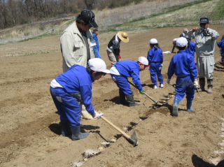 20190418jagaimo002.jpg