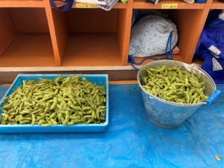 20211001edamame003.jpg