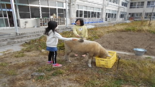 20211101yanyan004.jpg
