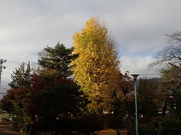 20231115(9).jpg