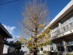 20231130(11).jpg