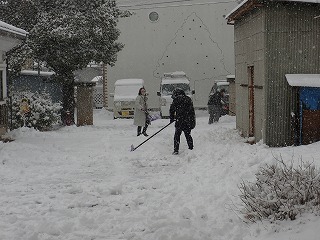 20240205(4).jpg
