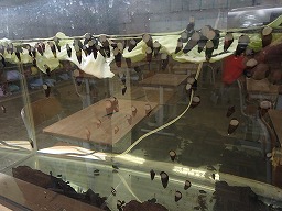 20240206(20).jpg