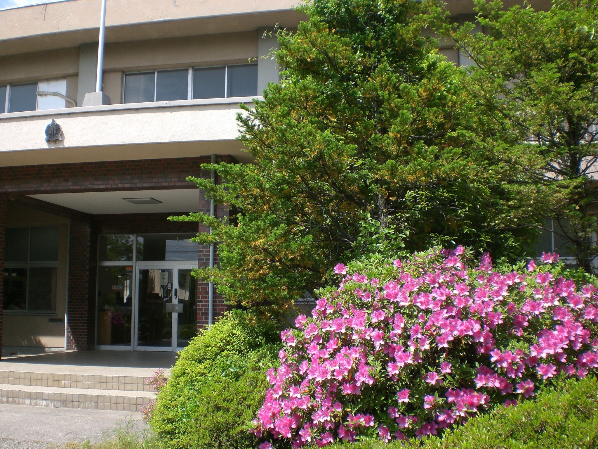 CIMG0019.JPG