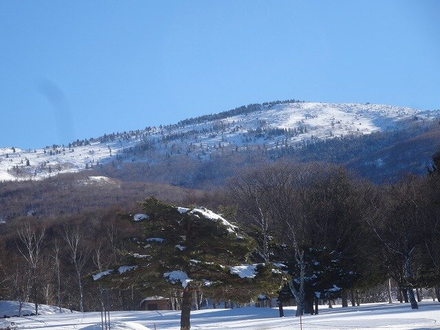 DSC01271.jpg