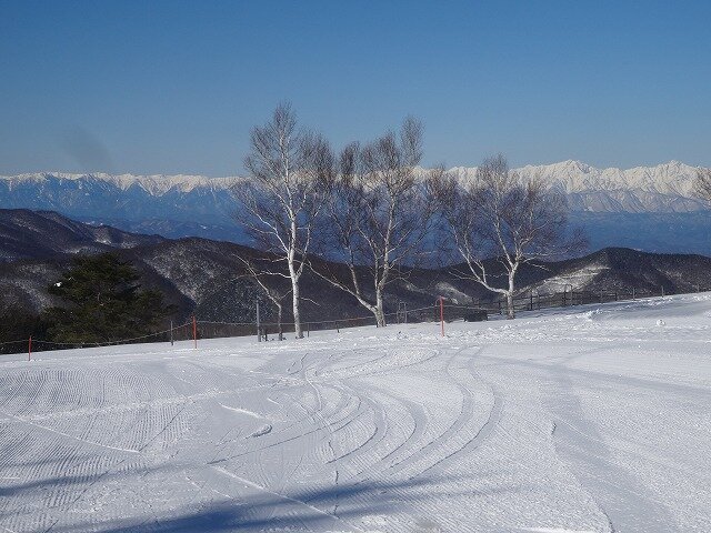 DSC01284.jpg