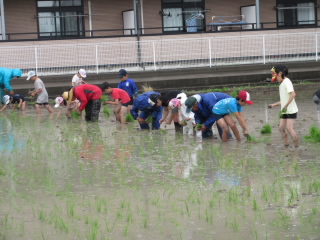 20190607taue4.JPG