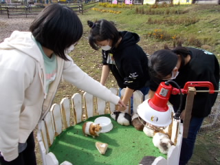 20201027ryokou2.JPG