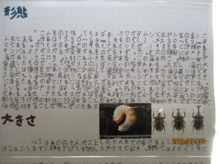 20210820_natuyasumikadai012.JPG