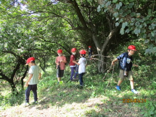 20210924_asagimadara2.JPG
