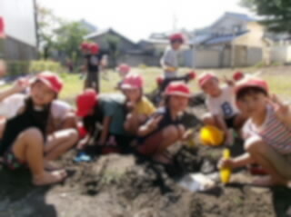 202609031.jpg