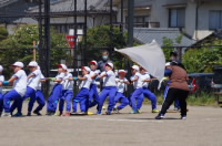 20210605happyou006.JPG