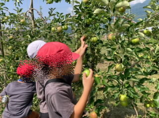 202507apple01.jpg