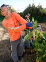 202511daikon01.jpg