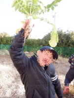 202511daikon02.jpg
