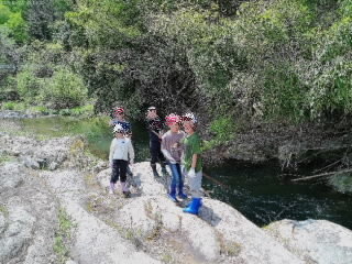 20260507-4-2.jpg