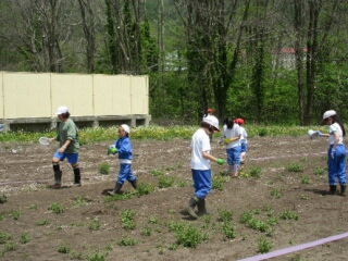 20260529-5-2.jpg