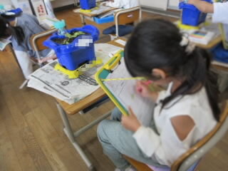 20260612-1-1.jpg