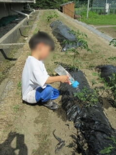 1-2 - 編集済み.jpg