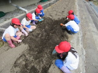 1年1.jpg