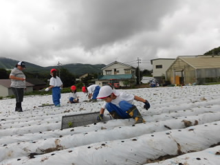 20190723retasunaue003.JPG