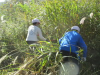 20201006kusakari004.JPG