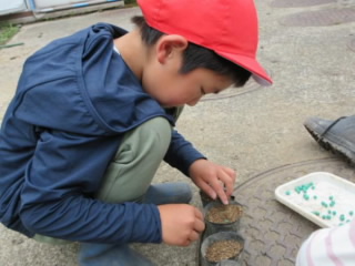 20240702edamame003.jpg