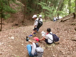 158_1561.JPG