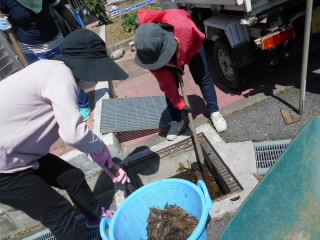 DSCN0627.JPG