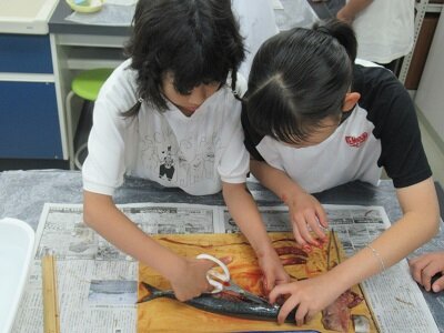 IMG_0628.JPG