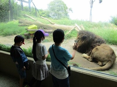 IMG_7712.JPG