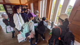 PXL_20251031_043308044.jpg