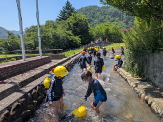 PXL_20260710_011924995.jpg