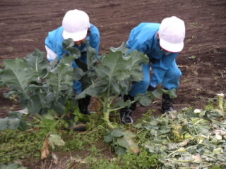DSCN2273.JPG
