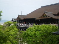 IMGP0714.JPG