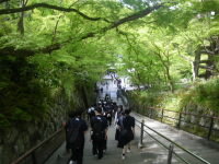 IMGP0716.JPG