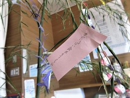 IMG_7385.JPG
