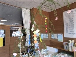 IMG_7386.JPG