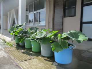 20220630_june3.jpg